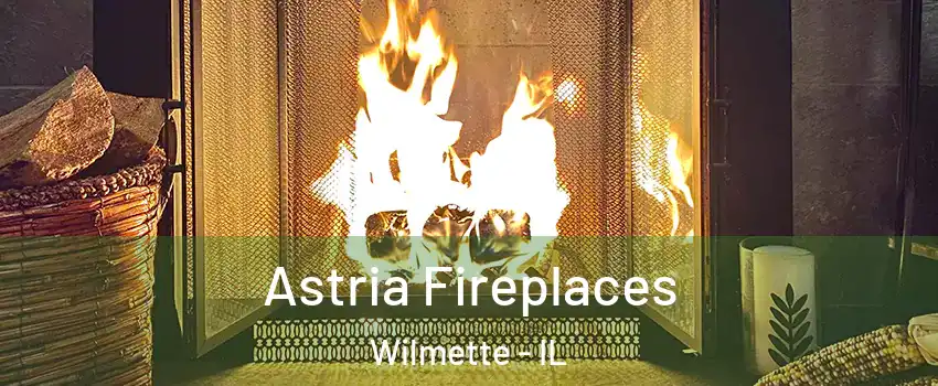  Astria Fireplaces Wilmette - IL