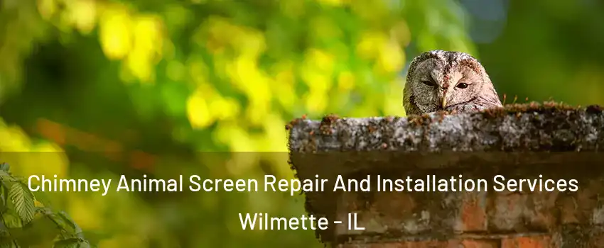  Chimney Animal Screen Repair And Installation Services Wilmette - IL