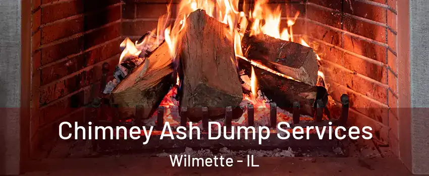  Chimney Ash Dump Services Wilmette - IL