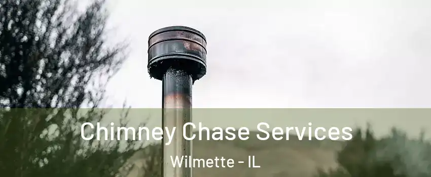  Chimney Chase Services Wilmette - IL