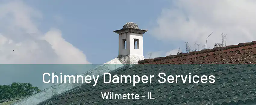  Chimney Damper Services Wilmette - IL