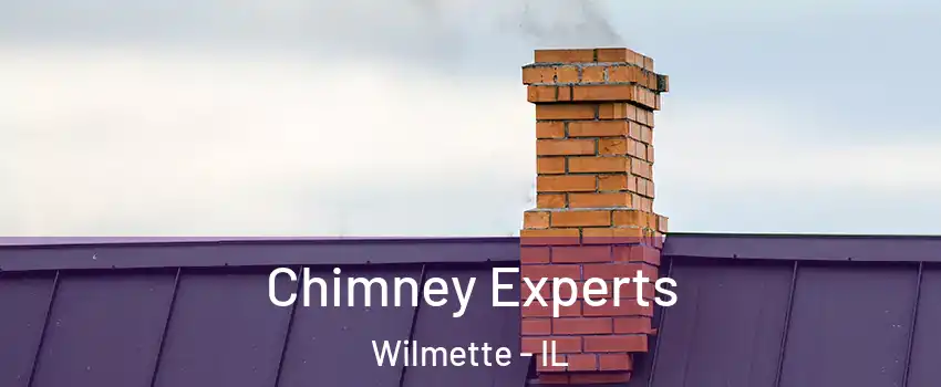Chimney Experts Wilmette - IL