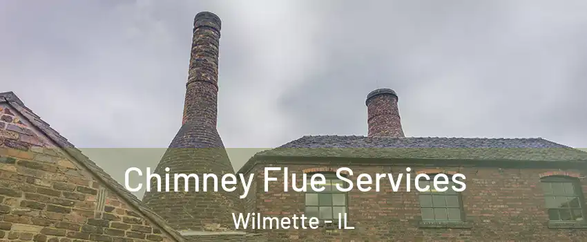  Chimney Flue Services Wilmette - IL
