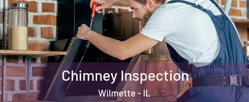  Chimney Inspection Wilmette - IL