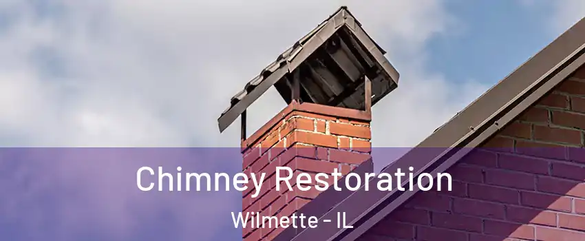  Chimney Restoration Wilmette - IL