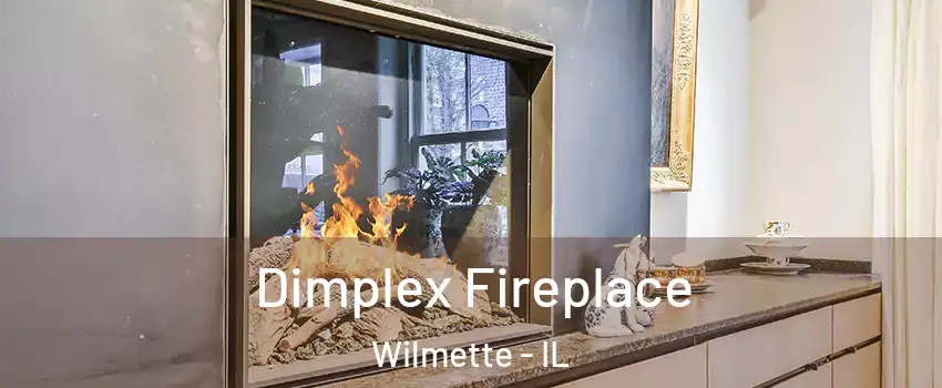  Dimplex Fireplace Wilmette - IL