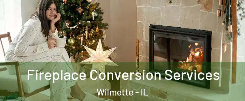  Fireplace Conversion Services Wilmette - IL