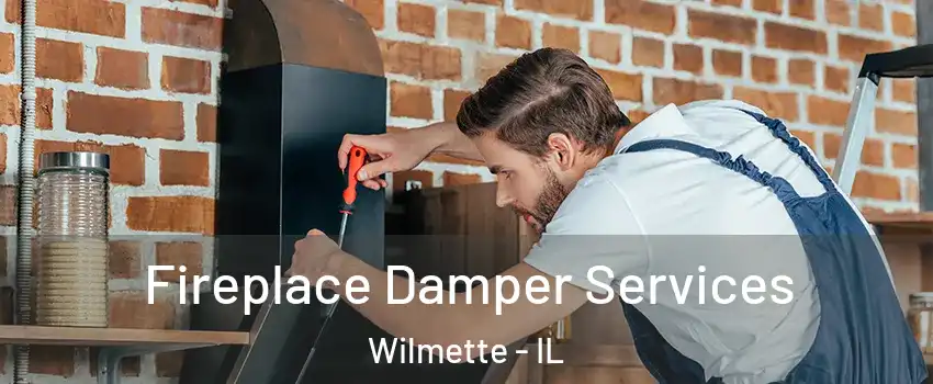  Fireplace Damper Services Wilmette - IL