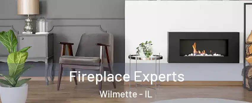  Fireplace Experts Wilmette - IL