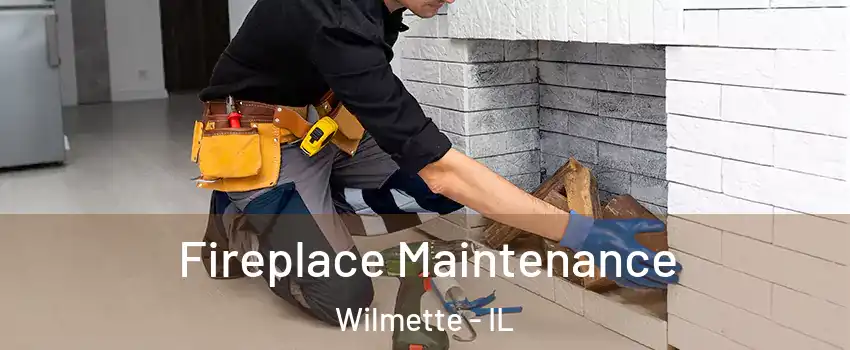  Fireplace Maintenance Wilmette - IL