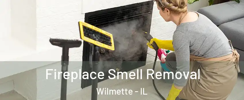  Fireplace Smell Removal Wilmette - IL