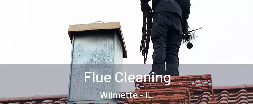  Flue Cleaning Wilmette - IL