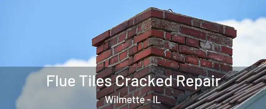  Flue Tiles Cracked Repair Wilmette - IL