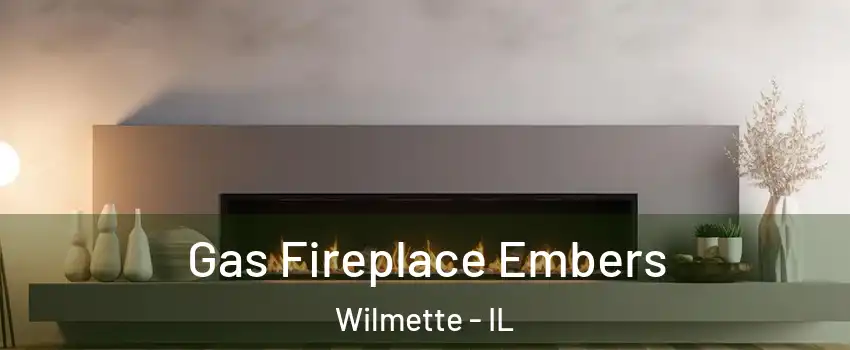  Gas Fireplace Embers Wilmette - IL