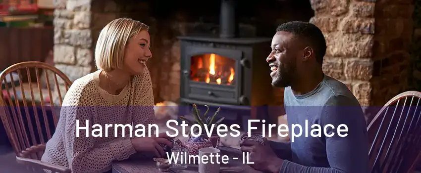  Harman Stoves Fireplace Wilmette - IL