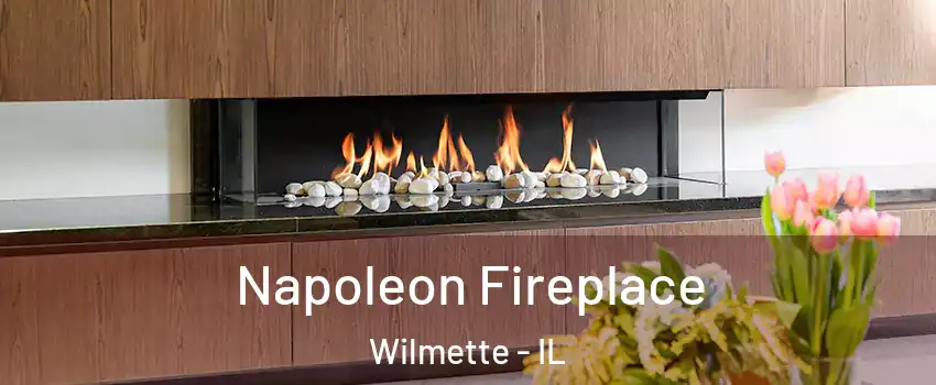  Napoleon Fireplace Wilmette - IL