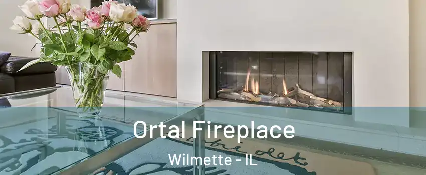 Ortal Fireplace Wilmette - IL